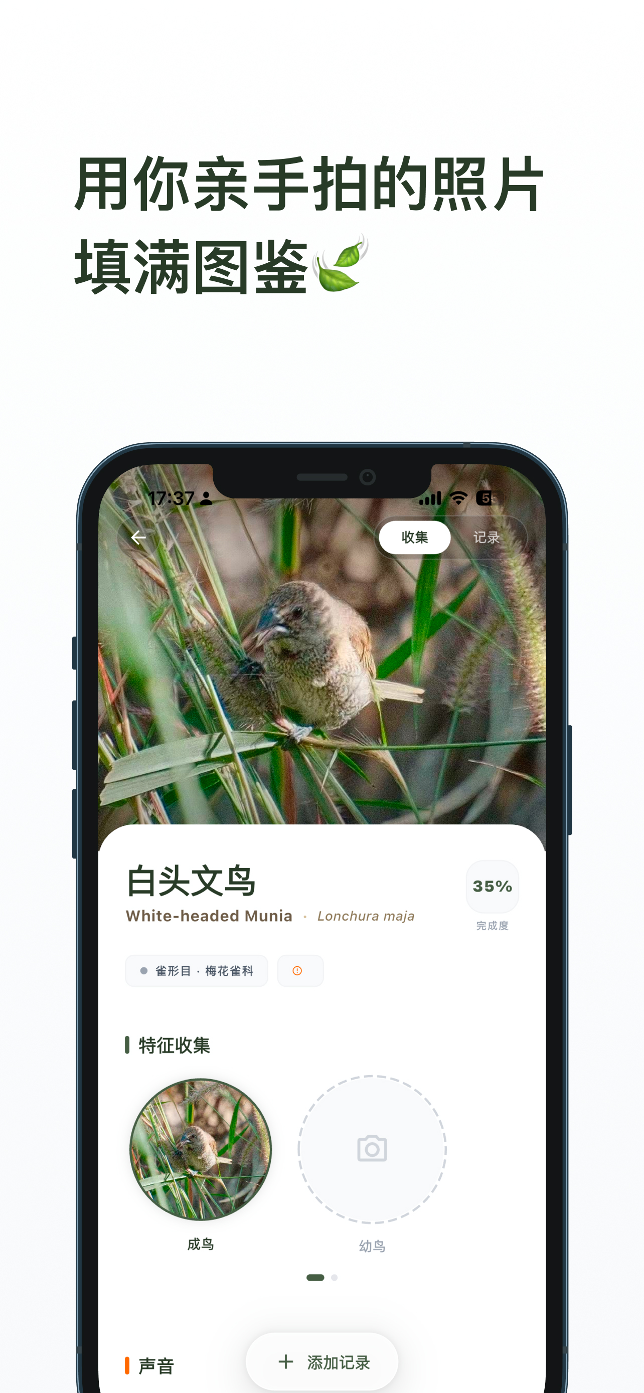 数毛图鉴详情截图